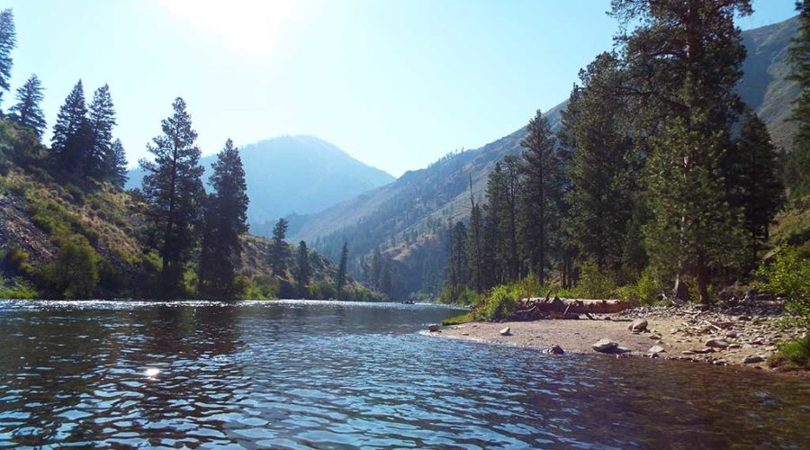 middle fork of the salmon river in Idaho